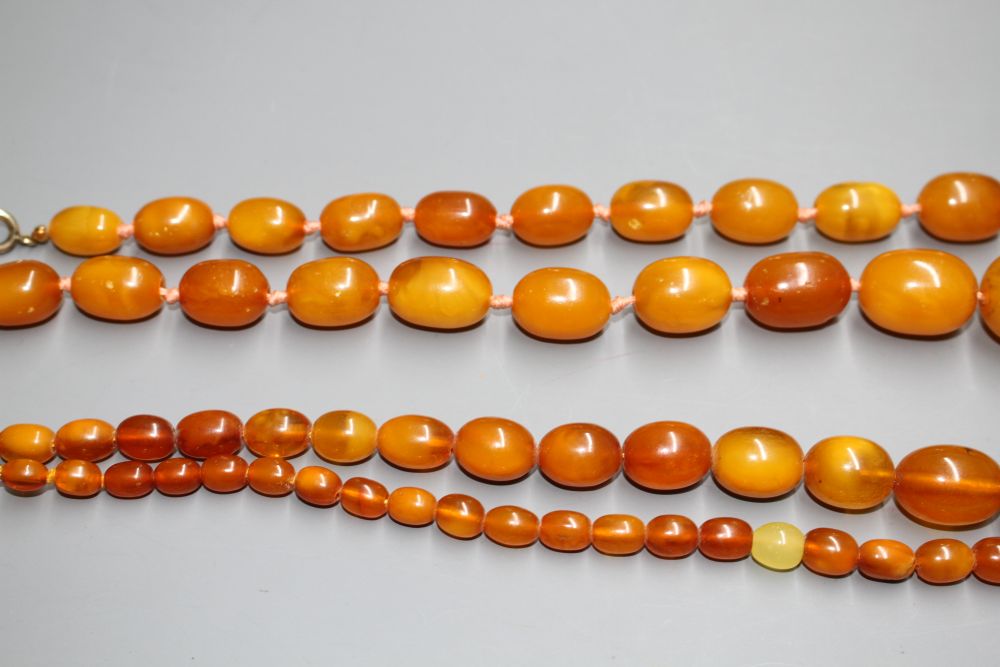 Two single strand graduated oval amber bead necklaces, with yellow metal clasps, one stamped 375,